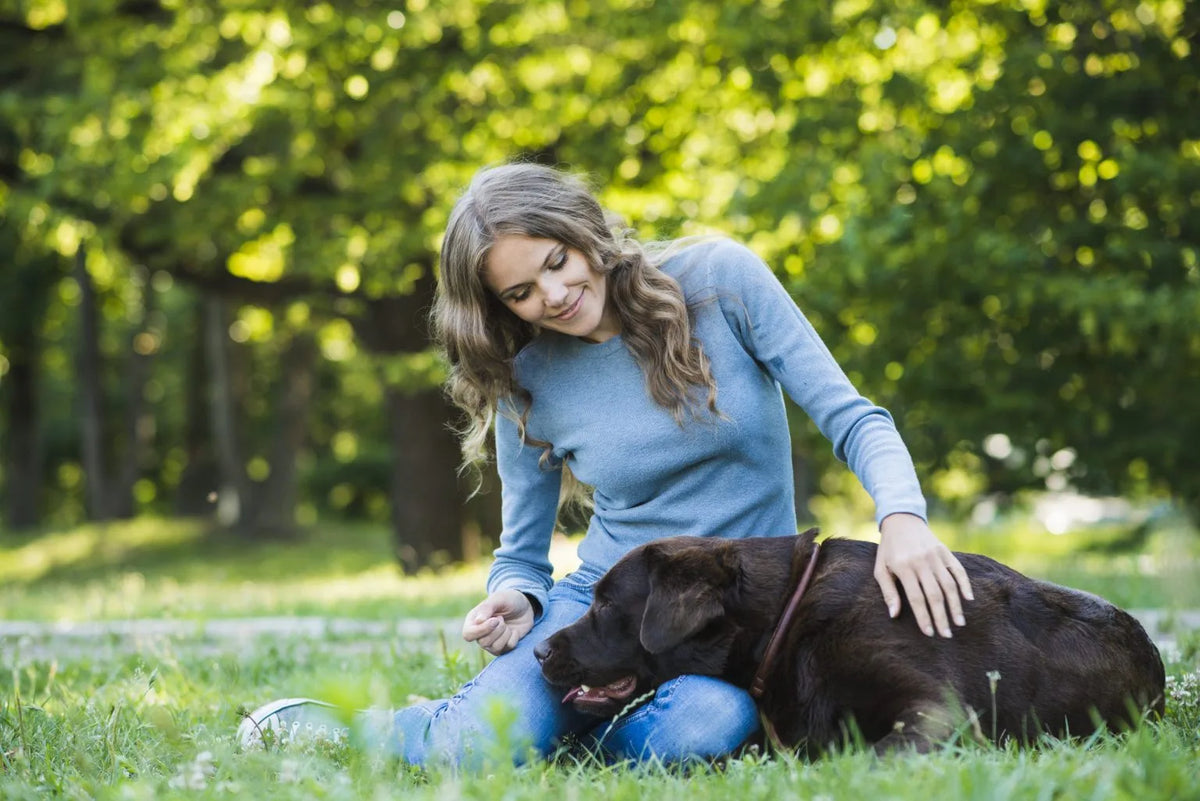 Woman sitting on grass with a black dog in a park wanting a custom dog crate from Paws and Willow