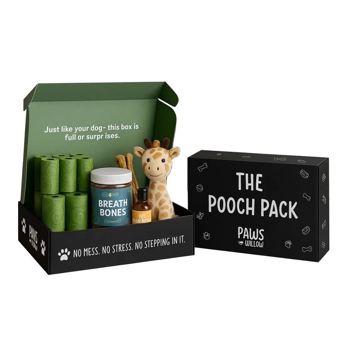 Dog product set with 'The Pooch Pack' box on a white background