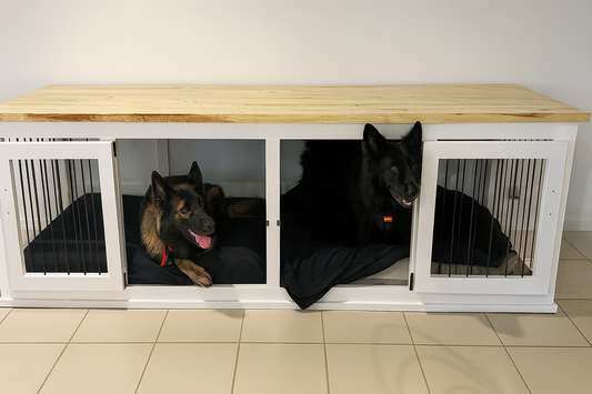 Are Metal Crates Safe for Dogs?