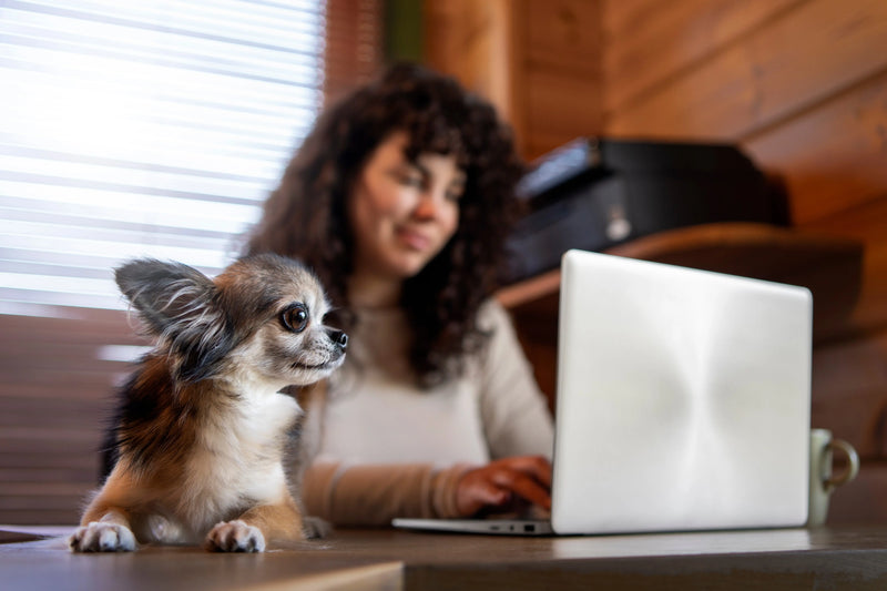 Puppy and Owner viewing a Sample Daily Puppy Routine