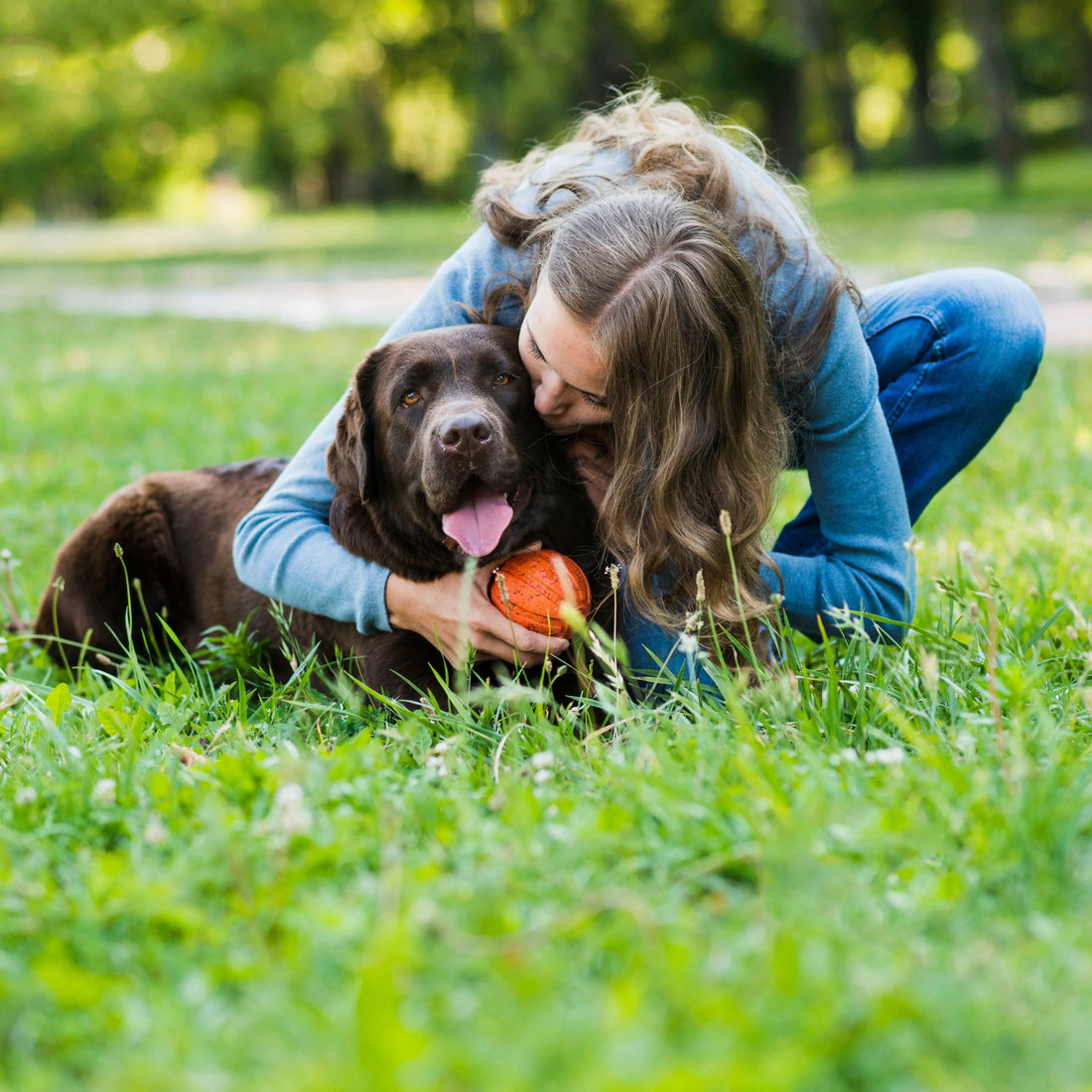Are Crates Good for Dogs? The Honest Answer
