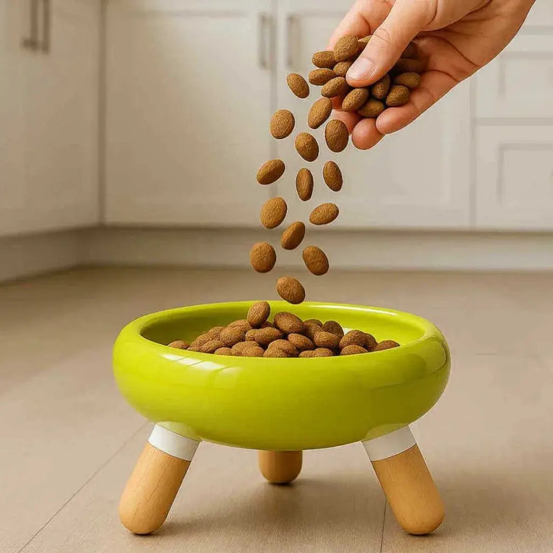 Feeding Stations - Paws and Willow