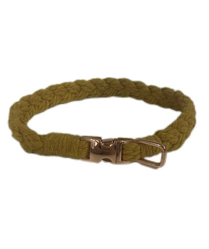 Petite Macramé Dog Collar with Brass | Gold | Silver Buckle - Mustard, Gold image