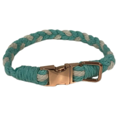 Large Macramé Dog Collar with Brass | Gold | Silver Buckle - Teal, Gold image