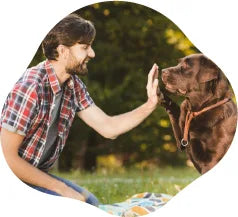 Man sitting on a blanket with a brown dog outdoors wanting a custom dog crate from Paws and Willow
