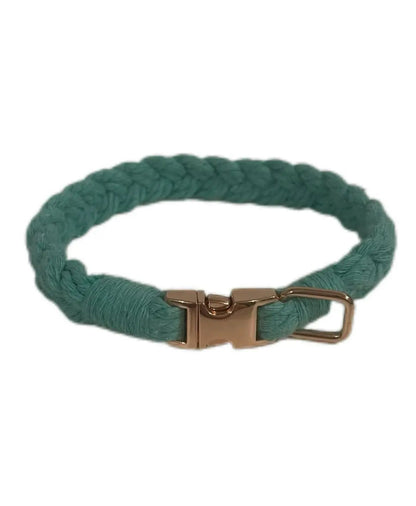 Petite Macramé Dog Collar with Brass | Gold | Silver Buckle - Teal, Gold image