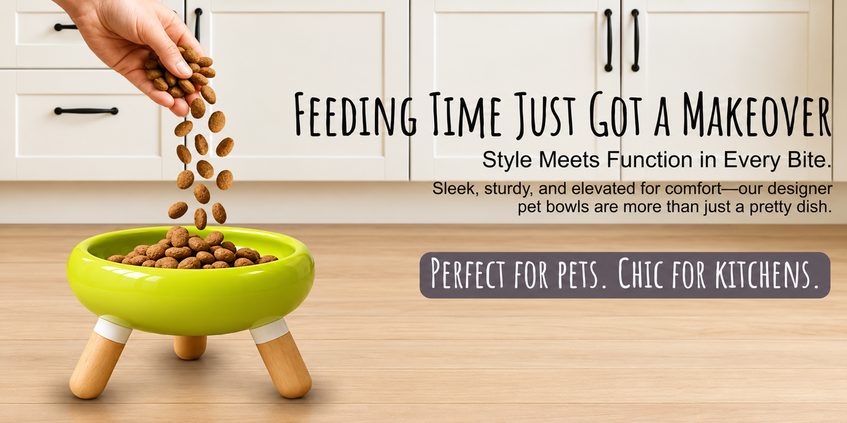 Paws & Willow dog feeding accessories for mealtimes.